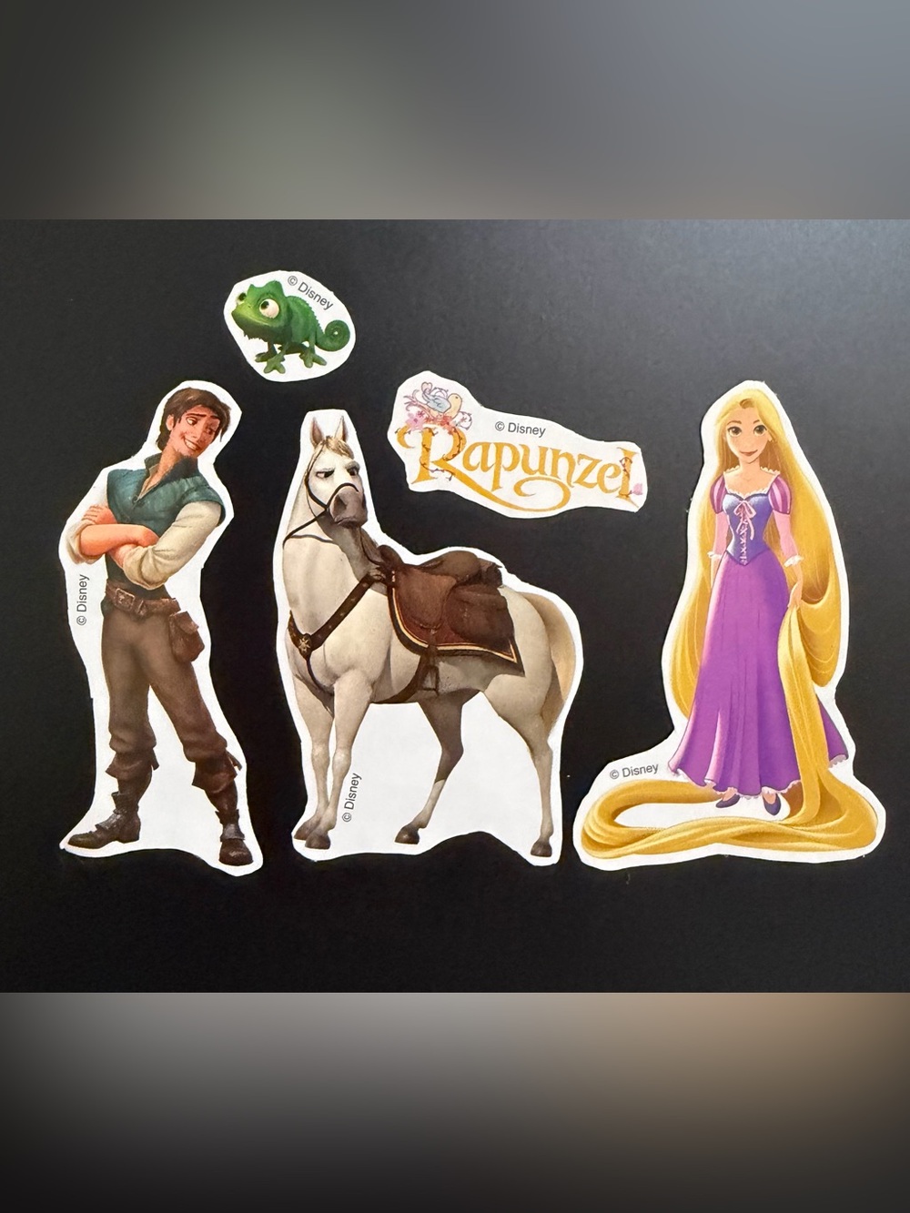 Disney Princess Tangled Decorative Magnets